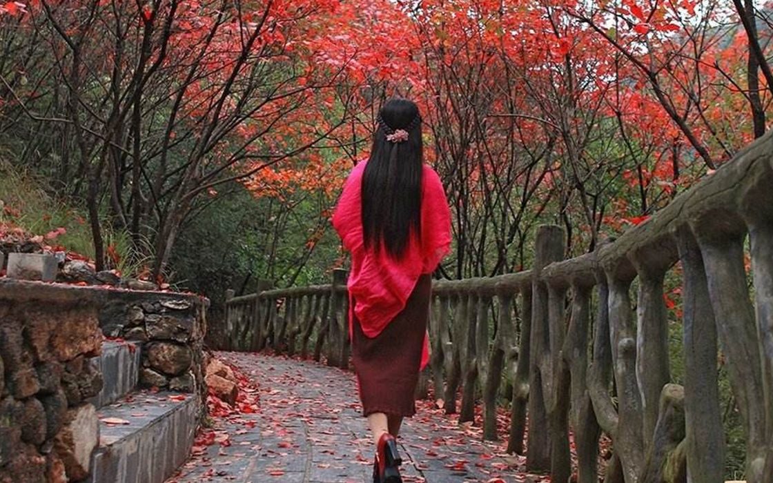 南宫集团(中国区)有限公司官网
