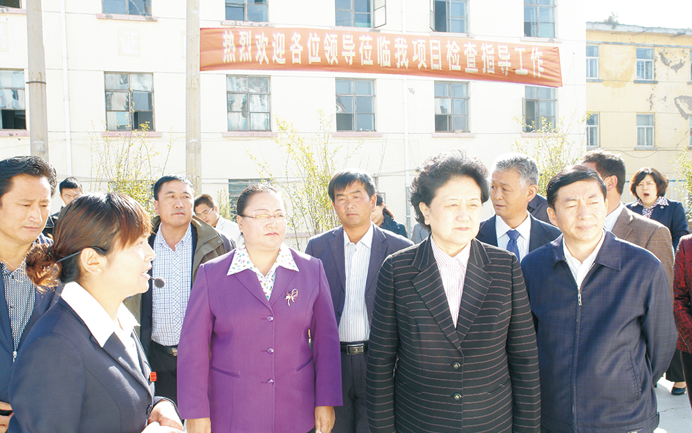 时任中央政治局委员，国务院副总理、党组成员刘延东视察湖北南宫集团集团青海项目部