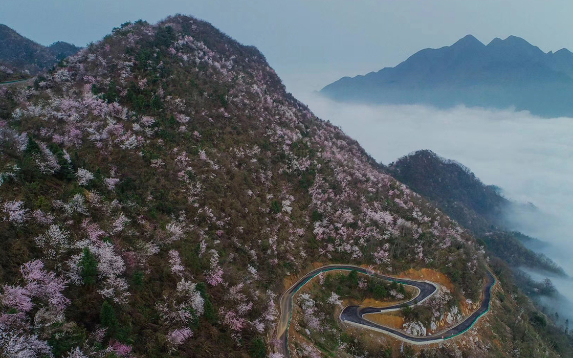 南宫集团(中国区)有限公司官网