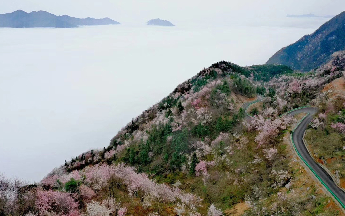南宫集团(中国区)有限公司官网
