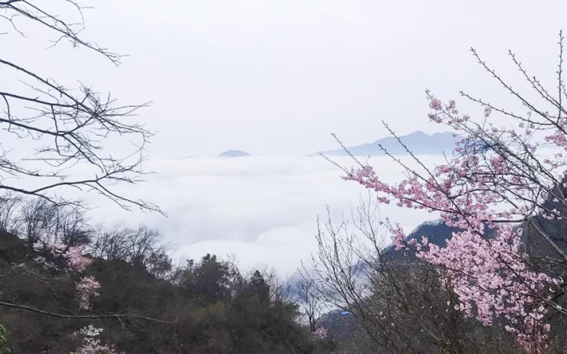 南宫集团(中国区)有限公司官网