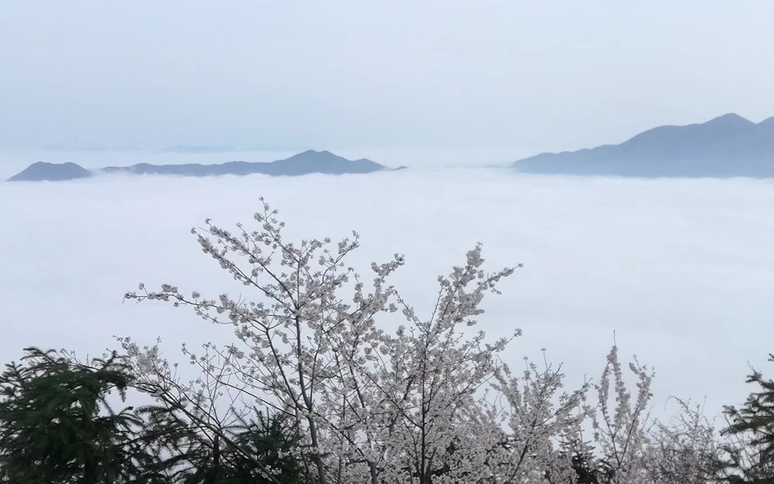 南宫集团(中国区)有限公司官网