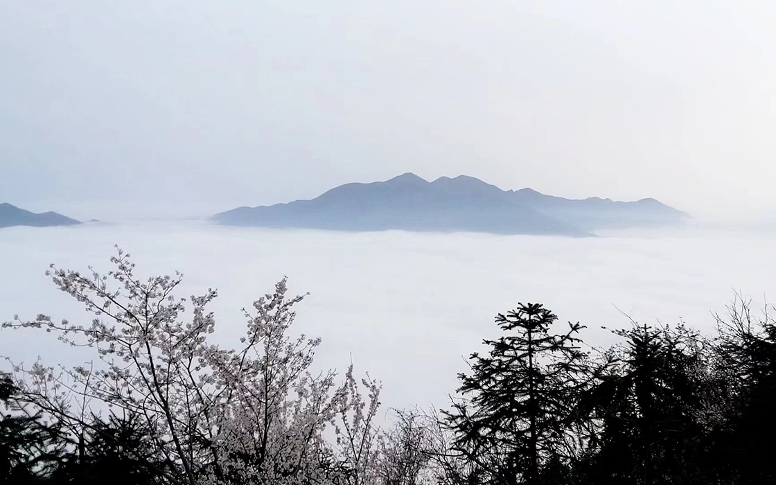 南宫集团(中国区)有限公司官网