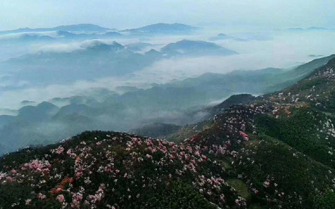 南宫集团(中国区)有限公司官网