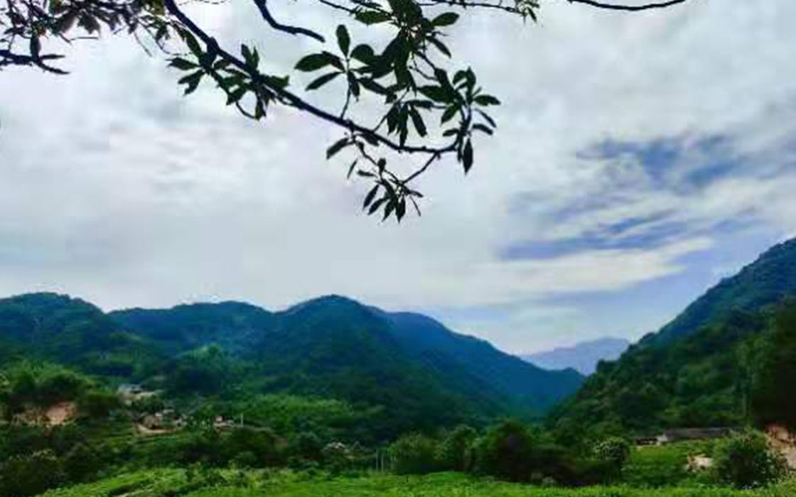 南宫集团(中国区)有限公司官网