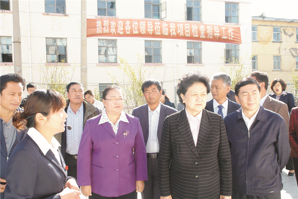 4中央政治局委员，国务院副总理、党组成员刘延东视察湖北南宫集团集团青海项目部 
